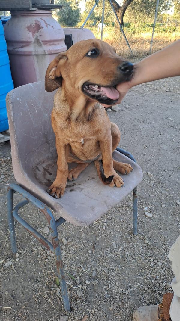 BELLA Foto 3